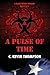 A Pulse of Time: A Blake Meyer Thriller - Book 5 of 6 (The Blake Meyer Thriller Series)