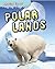 Polar Lands (Amazing Biomes)