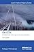 The Ism Code: A Practical Guide to the Legal and Insurance Implications (Lloyd's Practical Shipping Guides)