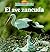 El ave zancuda