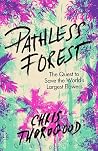 Pathless Forest: ...