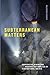 Subterranean Matters: Cooperative Mining and Resource Nationalism in Plurinational Bolivia (Elements)