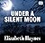 Under A Silent Moon