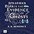 Jonathan Dark Or The Evidence Of Ghosts by A K Benedict