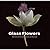 Glass Flowers: Marvels of Art and Science at Harvard