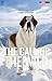 The Call of the Wild (Trans...
