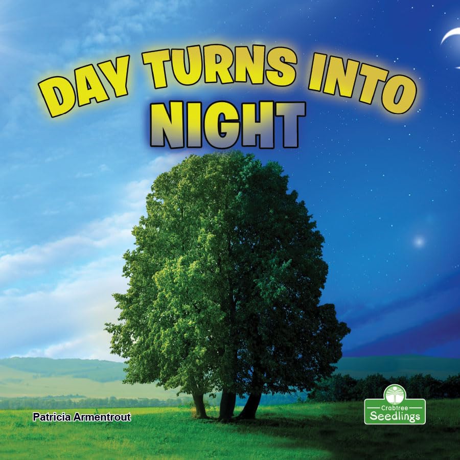 Day Turns into Night (My First Science Books)
