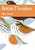 NN BRITISH THRUSHES 63