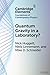 Quantum Gravity in a Laboratory? (Elements in the Foundations of Contemporary Physics)