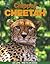 Chipper the Cheetah