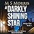 A Darkly Shining Star (Bridget Hart #5)