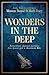 Wonders in the Deep: Extraordinary Shipwreck Discoveries from Spanish Gold to Shackleton's Bible