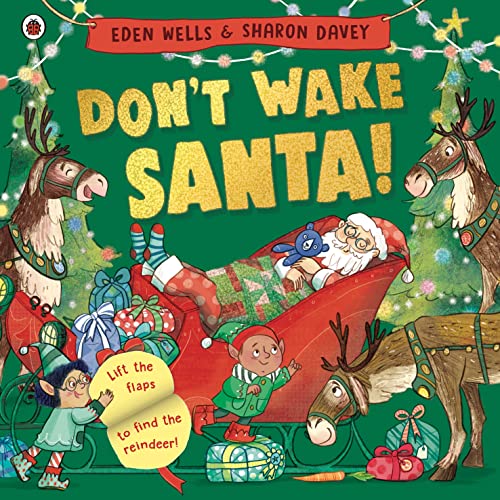 Ladybird Dont Wake Santa A lift-the-flap Christmas book. (Paperback)