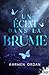 Un éclat dans la brume (Romance Passion) (French Edition)