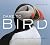 Dare to Bird: Exploring the...