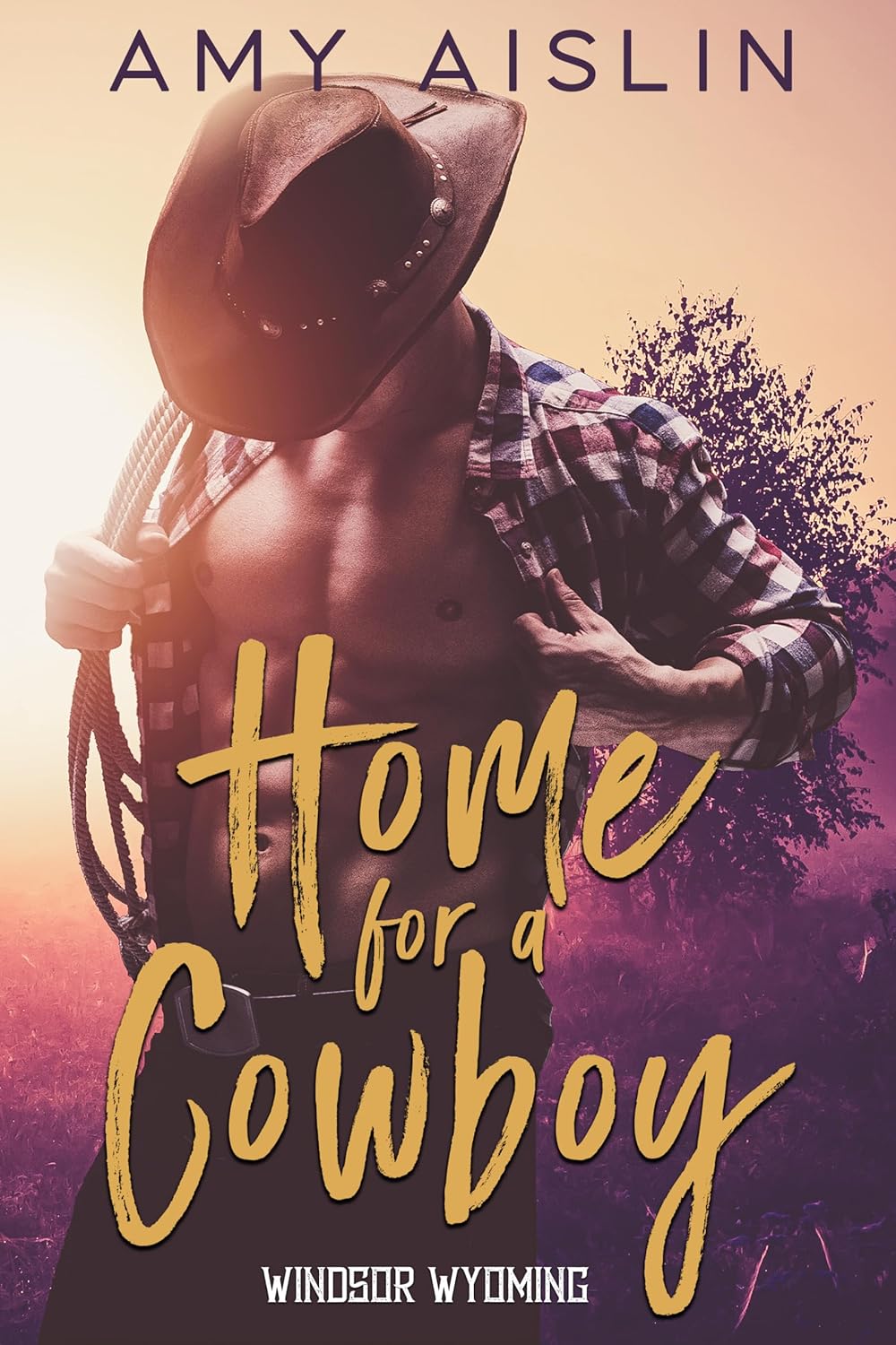 Home for a Cowboy (Windsor, Wyoming, #1)