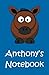 Anthony's Notebook