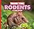 Thank You, Rodents (Animals We Can't Live Without)
