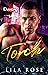 Torch (Diamond MC Book 4)