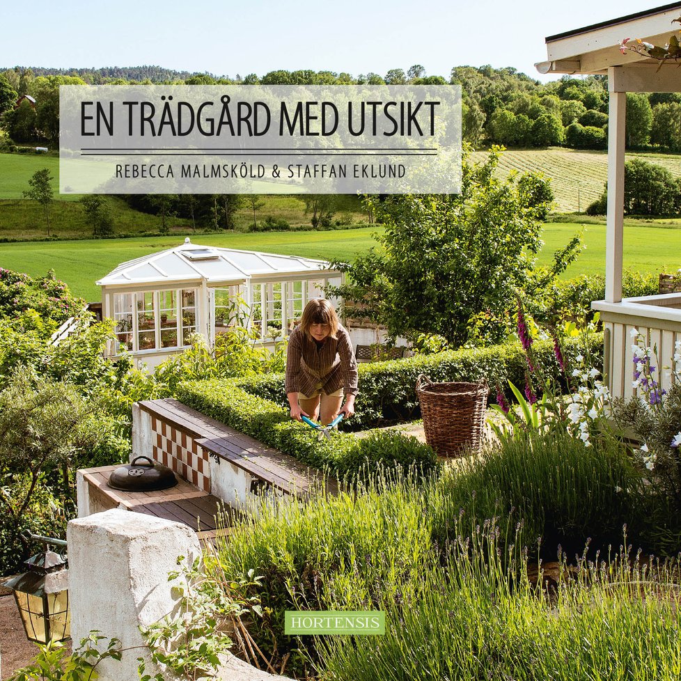 En trädgård med utsikt