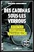 Des cadenas sous les verrous by Hervé Croze