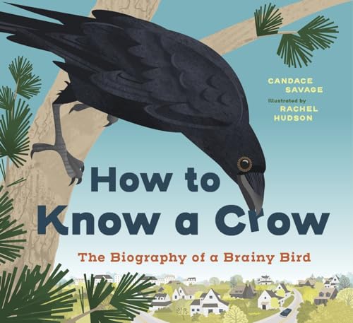 How to Know a Crow: The Biography of a Brainy Bird (Hardcover)