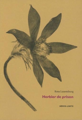 Herbier de prison: (1915 - 1918)