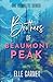 Brother's of Beaumont Peak:...