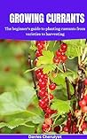 GROWING CURRANTS by Davies Cheruiyot GROWING CURRANTS by Davies Cheruiyot
