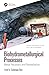 Biohydrometallurgical Proce...