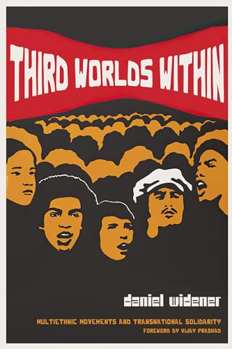 Third Worlds Within: Multiethnic Movements and Transnational Solidarity (Paperback)