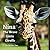 Nina The Brave Little Giraffe by Denise Pou