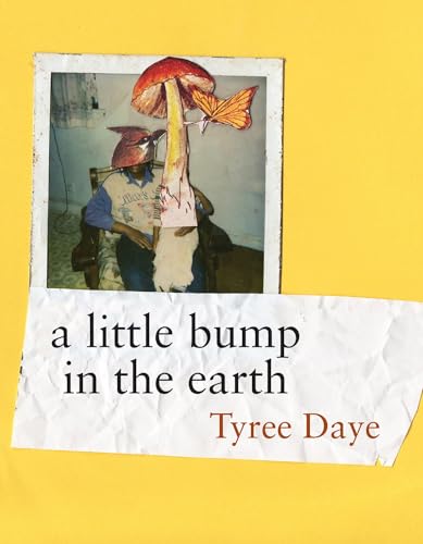 a little bump in the earth (Paperback)