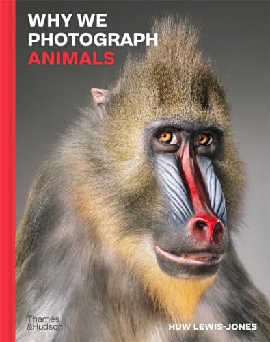 Why We Photograph Animals (Hardcover)