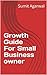 Growth Guide For Small Busi...