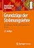 Grundzüge der Strömungslehr...