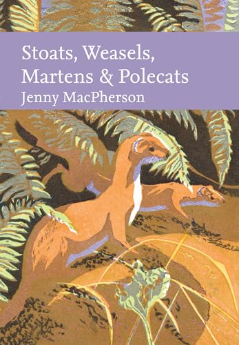 Stoats, Weasels, Martens and Polecats: The Definitive Guide to Britain's Most Elusive Predators (Collins New Naturalist Library)