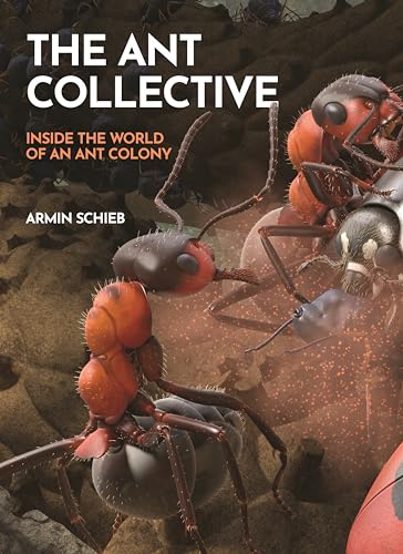 The Ant Collective: Inside the World of an Ant Colony (Hardcover)