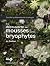 À la découverte des mousses et autres bryophytes du Québec by Collectif