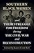 Southern Black Women and Th...