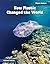 How Plastic Changed the World (21st Century Skills Library: Planet Human)