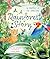 A Rainforest Story by Jane Burnard