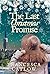 The Last Christmas Promise:...