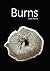 Burns