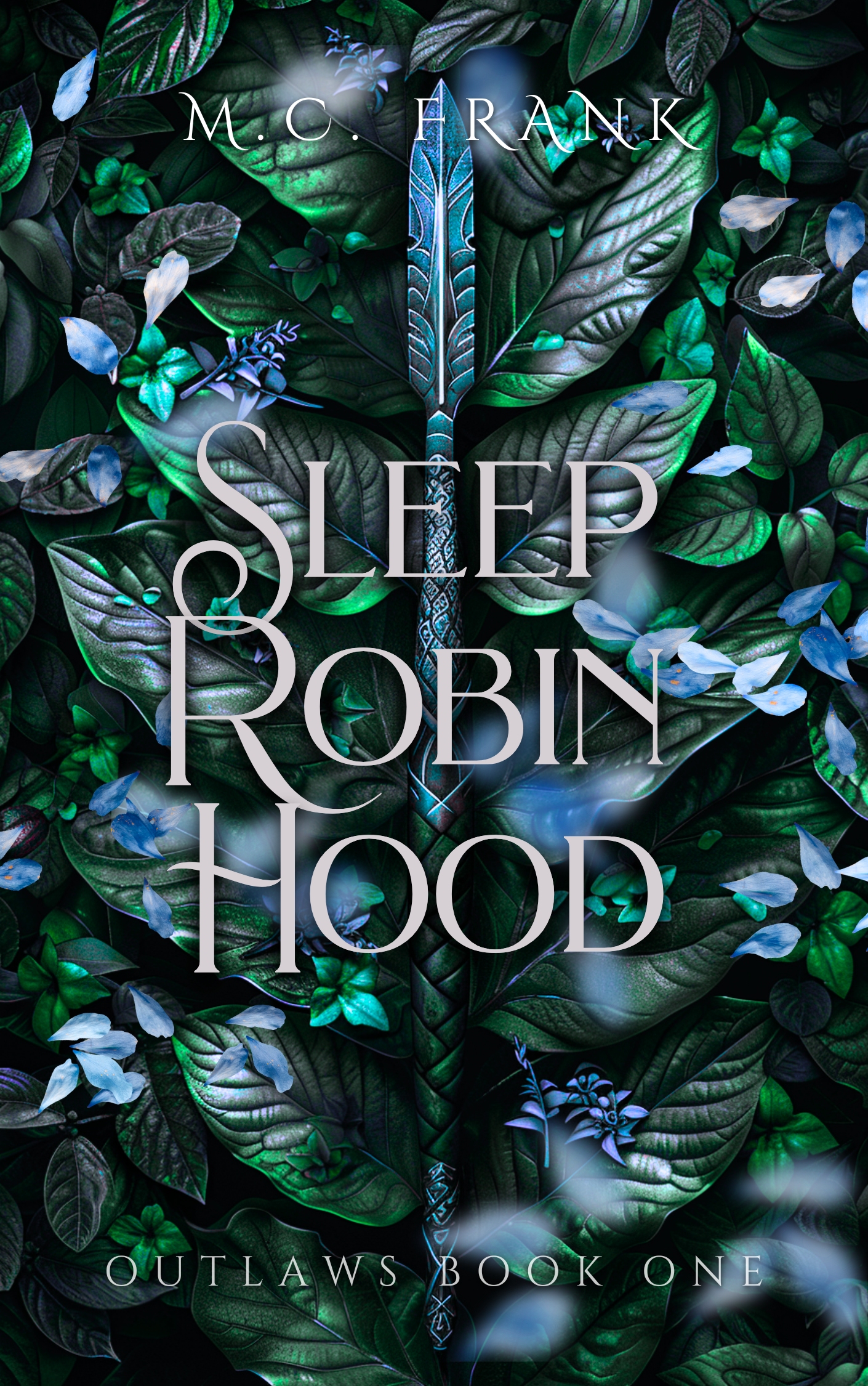 Sleep Robin Hood (Outlaws, #3)
