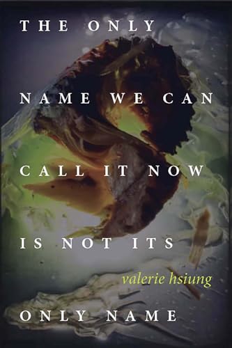 The only name we can call it now is not its only name (Paperback)