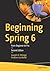 Beginning Spring 6: From Beginner to Pro