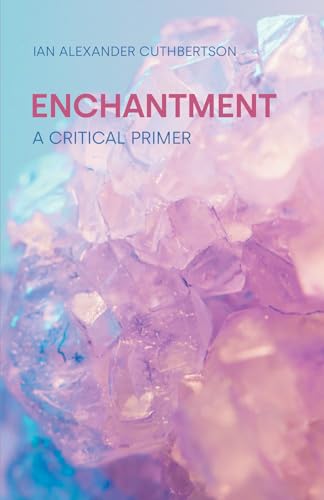 Enchantment: A Critical Primer (Concepts in the Study of Religion)