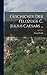 Geschichte Der Feldzüge C. Julius Caesars ... by Georg Veith