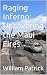 Raging Inferno: Uncovering ...